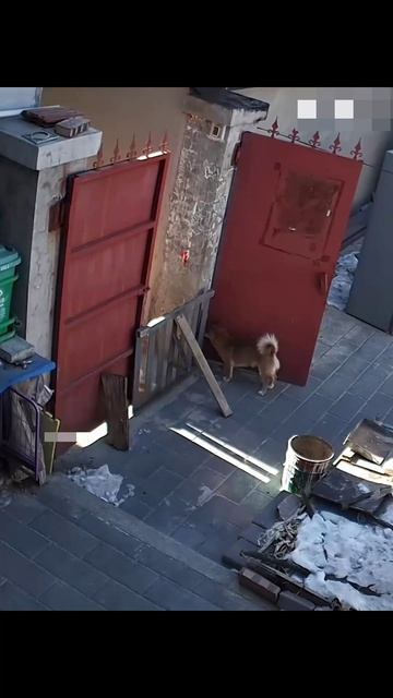 Кто как ест🤣 смотреть онлайн