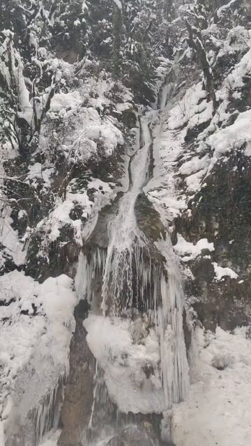Абхазия, водопад Мужские Слёзы сегодня (4 января, ЗИМА-2026) смотреть онлайн
