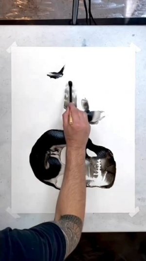 Художник James Zucco