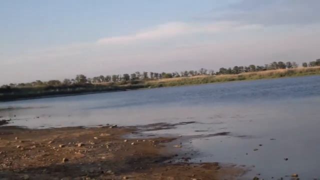 Сальский водоем год как слит смотреть онлайн