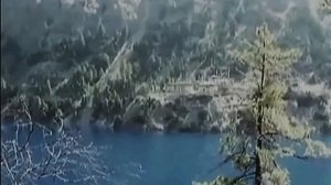 Звук природы. Пение длинноклювой кустарниковой камышевки в предгорье