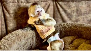 Финик В ШОКЕ ОТ ПРОДЕЛОК Анфисы «Девочки, уймите вашу мать»!))