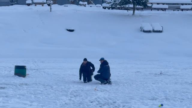 1000137437.mp4 смотреть онлайн