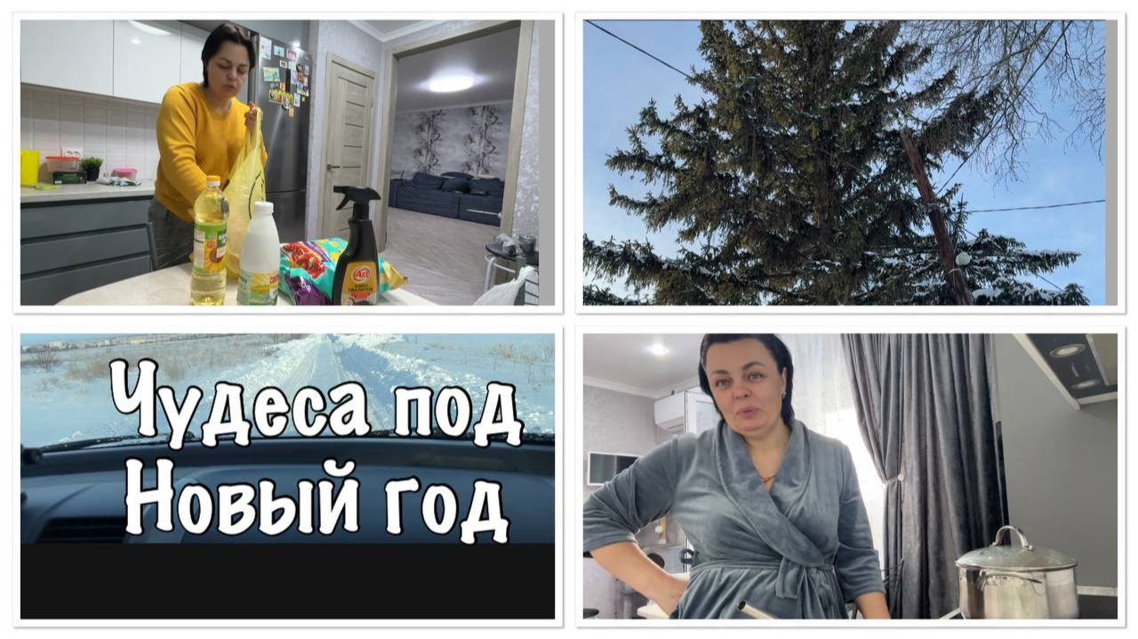 ВЫИГРАЛИ в ЛОТЕРЕЮ__проведали НАШ ДОМИК смотреть онлайн