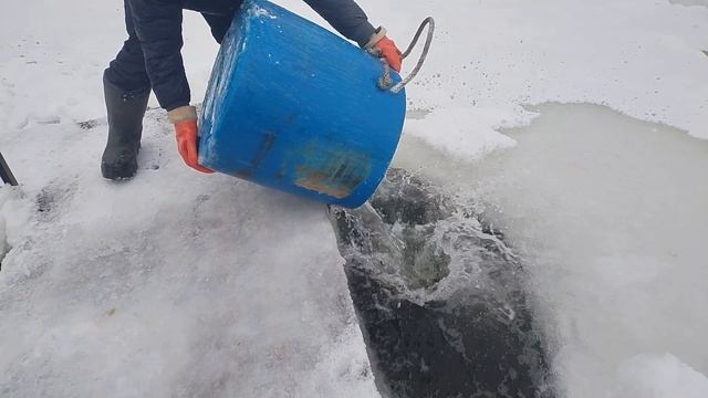 Второе зарыбление! смотреть онлайн