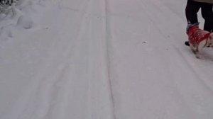 1-ый Влог Нового года/Часть 1