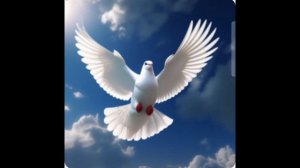 Памяти балашовских ребят,которые навсегда остались в 2025 году.