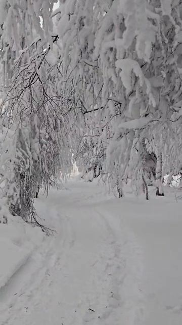 Сказка. смотреть онлайн