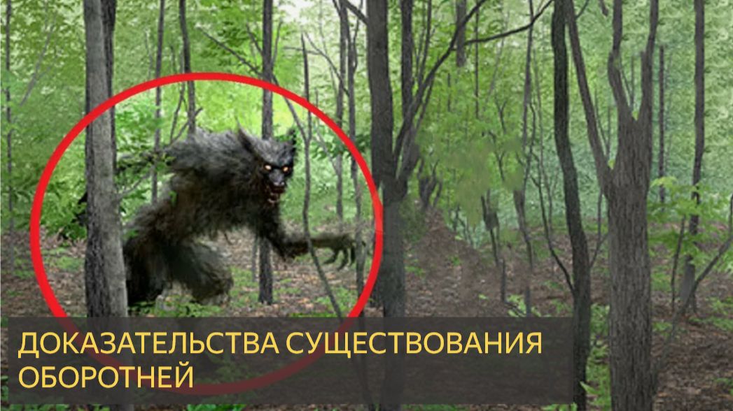 ОБОРОТЕНЬ существует на самом деле... И доказательства этому настораживают! смотреть онлайн