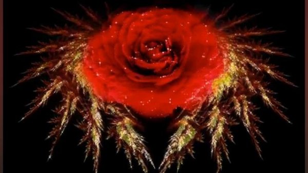 "Две звезды"