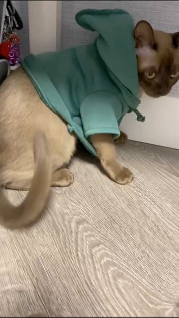 1серия 2сезон