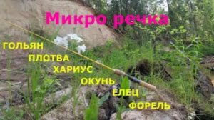 #мормышинг | Микро речка | Огромные хариусы, форель, ельцы и не только | Великолепная