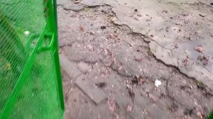 4.01.2026 ДОНАТ