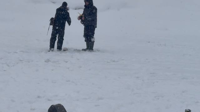 1000137427.mp4 смотреть онлайн