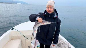 Акула, скаты. Трофейная рыбалка в Чёрном море 07.12.2025 года.