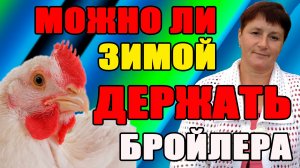Можно ли ЗИМОЙ держать БРОЙЛЕРА?