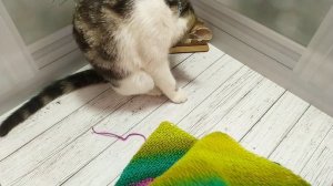 Образец из Stylish Alpaca 06 января 2026 г.