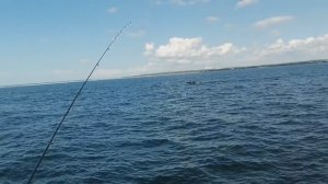 Рыбалка на Волге и велопрогулка по вечернему городу. АРХИВ, август 2025