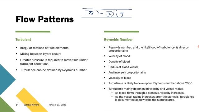 Сосудистая физиология на УЗИ (рама) лекция для врачей