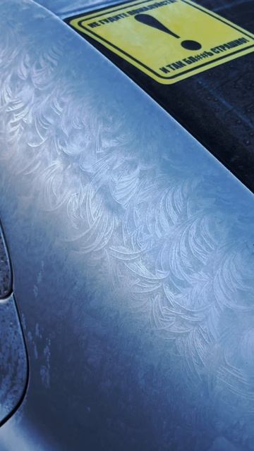 Мороз лучший художник #shorts #зима #ростов