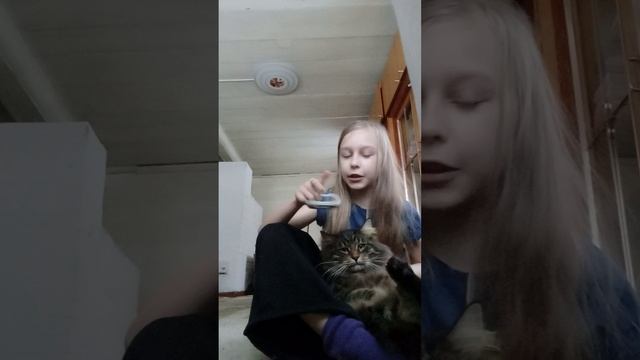 хах бытаюсь расчесать кота