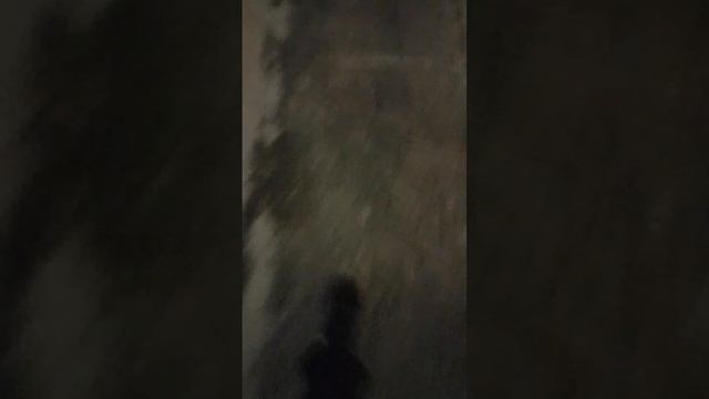 просто гуляли в новый год😉 смотреть онлайн