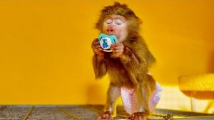 КАК ЭТО МИЛО! Анфиса почувствовала себя маленькой и решила ПОИГРАТЬ С СОСКОЙ!