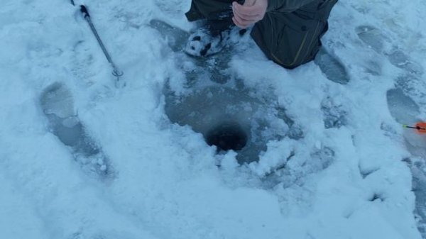 Светлые Горы Форель3 04.01.2026г.