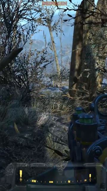 Где броня? Fallout 4. #shorts #fallout смотреть онлайн