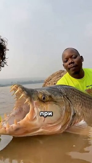 Самые опасные на земле! Лучше не сталкиваться с этой рыбой