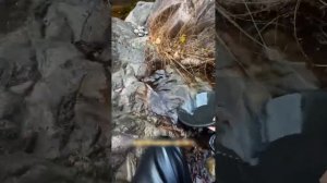 Поиск золота на горном ручье тропиков!!!