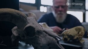 Древний апокалипсис 2 сезон 5 серия (документальный сериал, 2023)