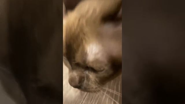 2 серия 2 сезон