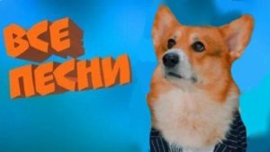 Корги Кекс. Все песни. Все клипы подряд. (Корги кекс. Говорящая собака)