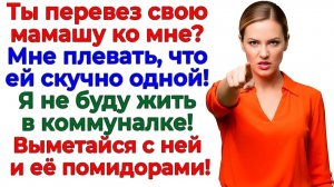Муж перепутал мой дом с общагой! Я устроила им зачистку! | Истории Из Жизни | Реальная История