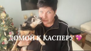 03.01.26 ПОРА ДОМОЙ. С КЕМ БЫЛ КАСПЕР?