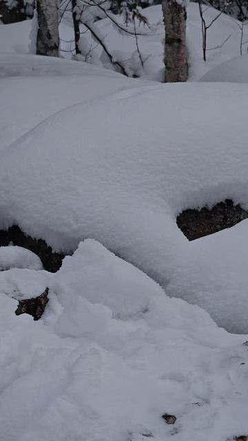 Гремучий ключ. смотреть онлайн