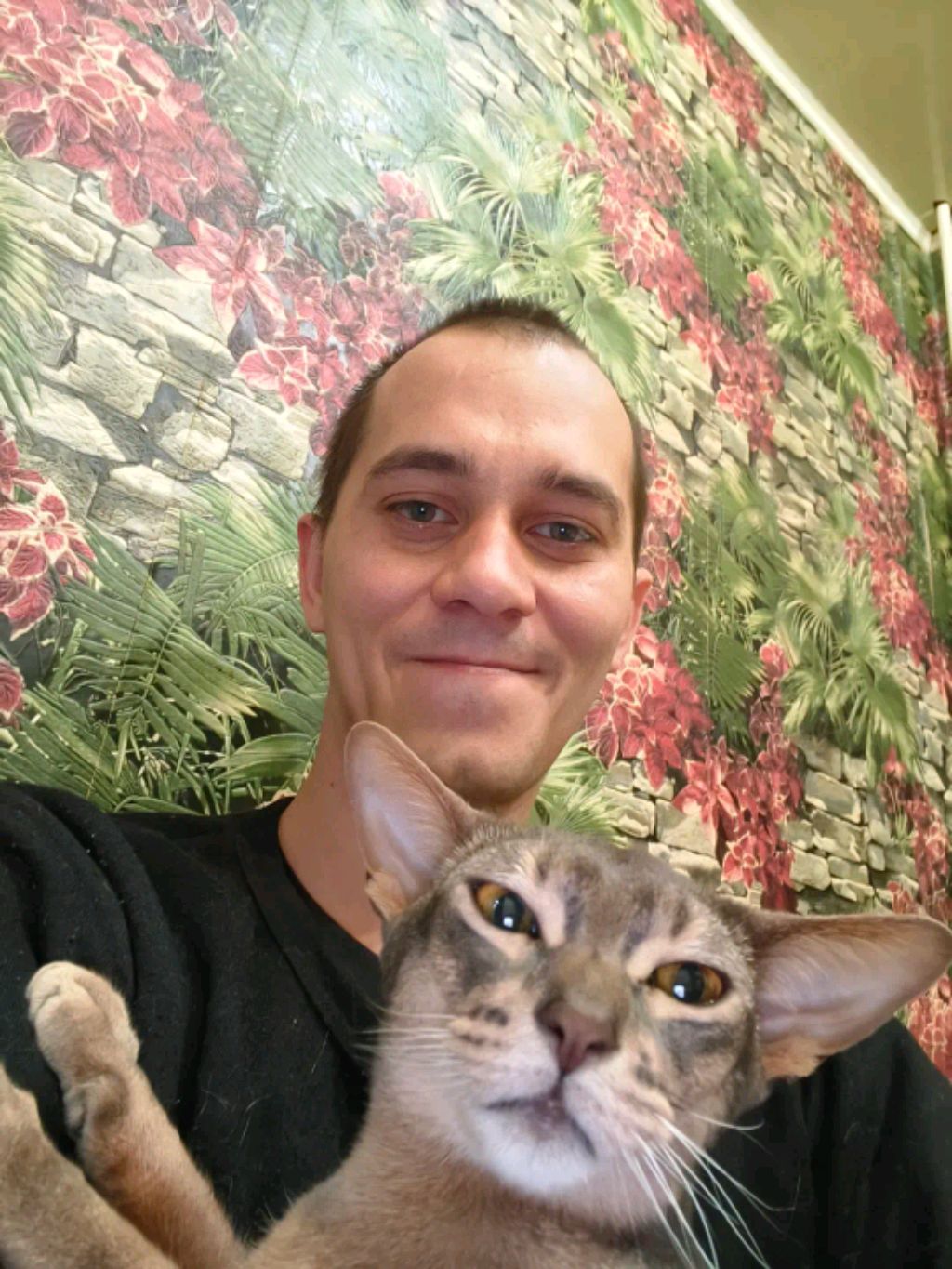 Добрый вечер смотреть онлайн