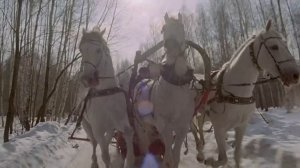 ТРИ БЕЛЫХ КОНЯ