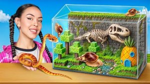 Мы построили террариум для бородатой агамы своими руками