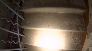 Заброшенная усадьба графа Воронцова Дашкова. Новотомниковский конный завод