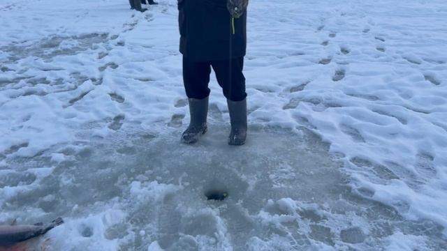 1000137436.mp4 смотреть онлайн