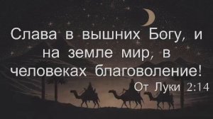 Утреннее воскресное  богослужение 4 января  2025 г.