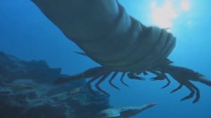 История Земли. 5 массовых вымираний до гибели Динозавров