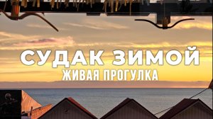 Судак в декабре перед главной морской ёлкой Страны