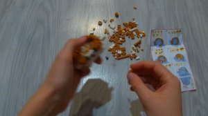 Детский Конструктор Пластиковый 3D Собери питомца, животные из мелких деталей, собираю коллекцию