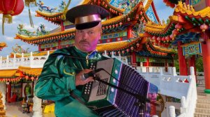 Мой фильм посвящён кошечке Анфисе, песня в исполнении солиста Ивана Кондратьева