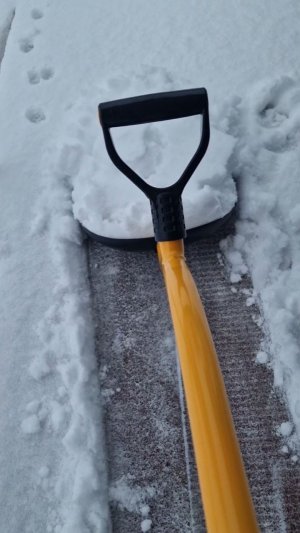 Сегодняшняя борьба со снегом ❄️🙈