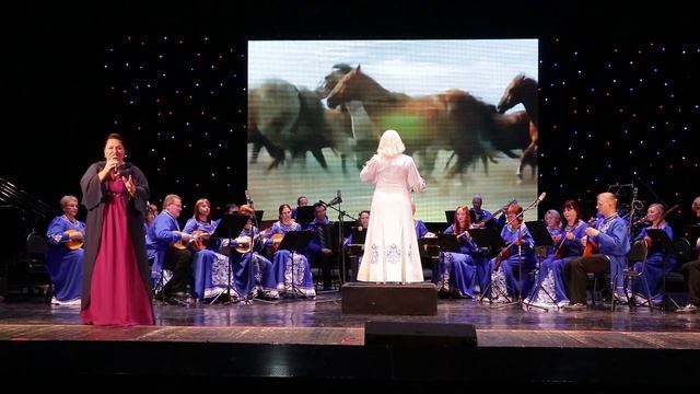 М.Блантер. Кони-звери. Виктория Накорнеева. Рус.нар.орк. "Жемчужина России". 04.11.2025. смотреть онлайн