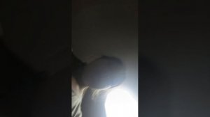 коты и их клички